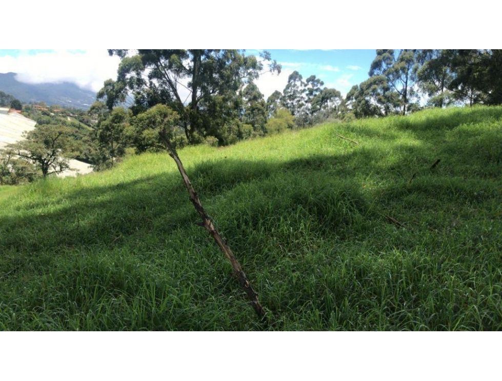 finca image